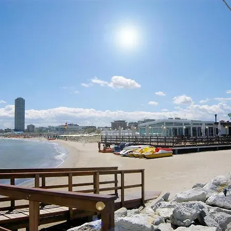 Rosa Cesenatico