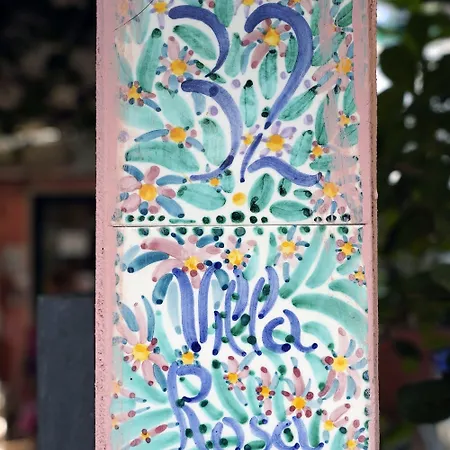 Rosa تْشيزيناتيكو